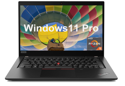 LENOVO THINKPAD X395